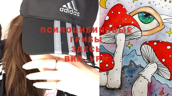 стаф Армянск