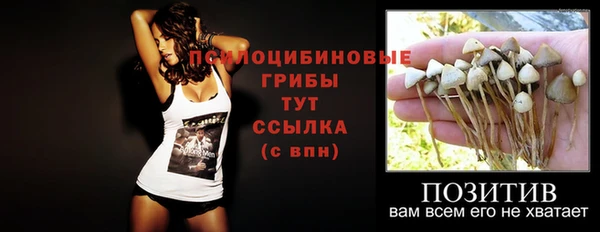герыч Арсеньев