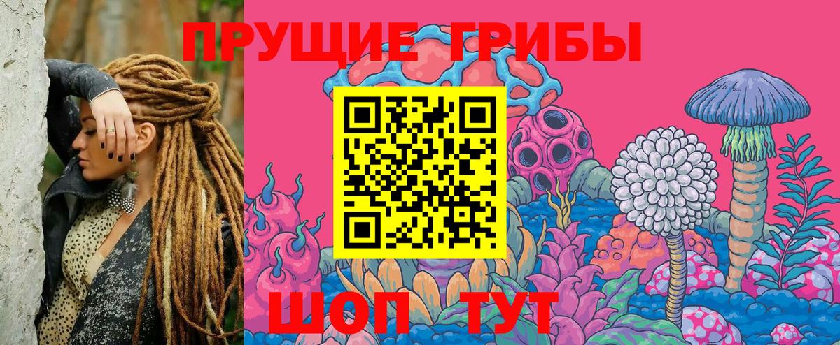Псилоцибиновые грибы Cubensis  хочу   Павлово  Вход с VPN 