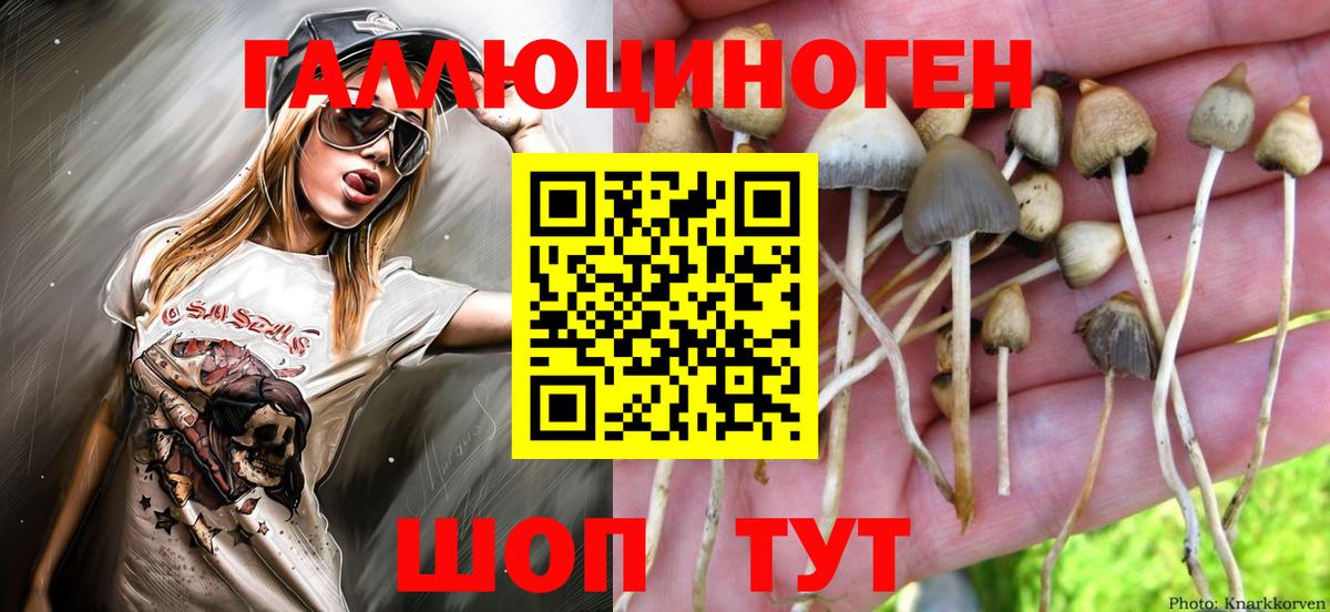 Галлюциногенные грибы Cubensis  Вход с VPN  купить наркотик  Павлово 