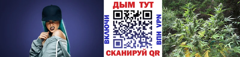 Конопля THC 21%  Павлово 