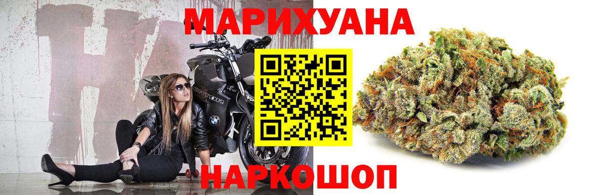 Каннабис OG Kush Павлово